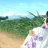 Maidhanam movie  Stills | Picture 38960